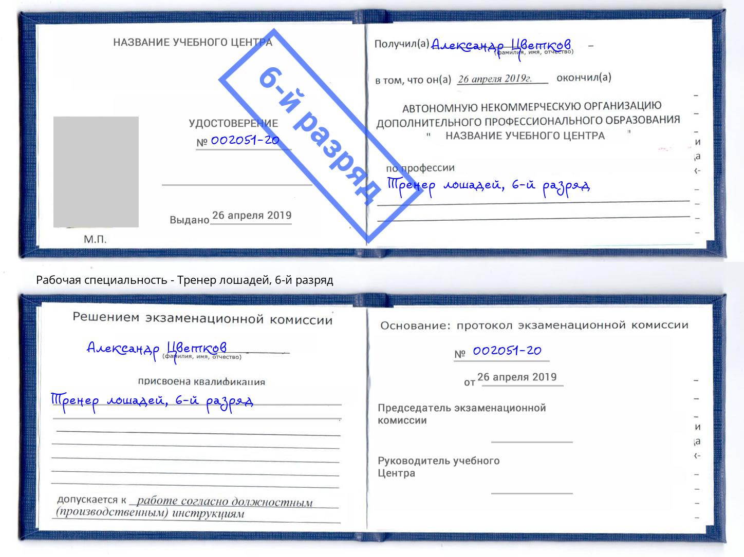 корочка 6-й разряд Тренер лошадей Кострома