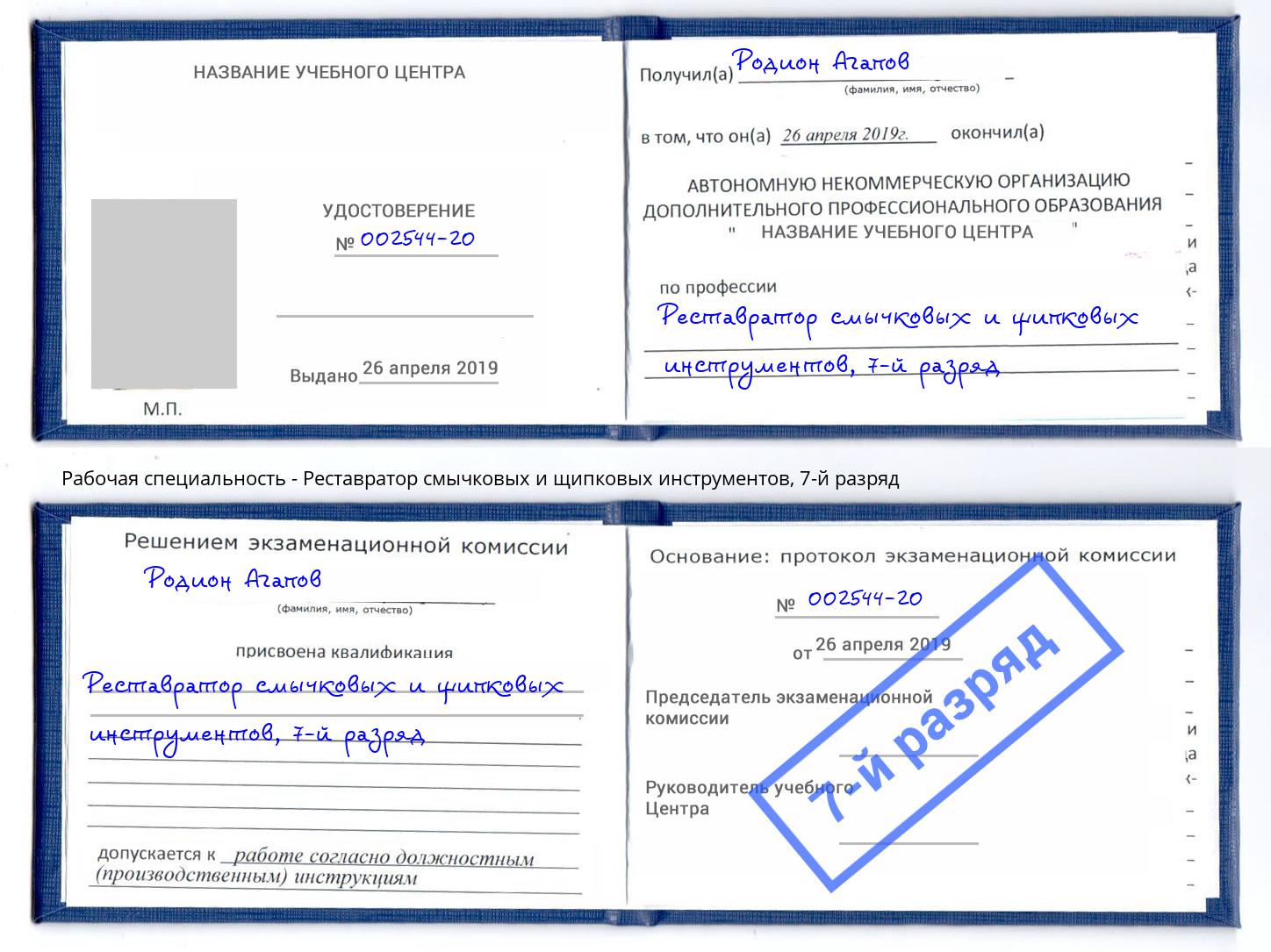 корочка 7-й разряд Реставратор смычковых и щипковых инструментов Кострома