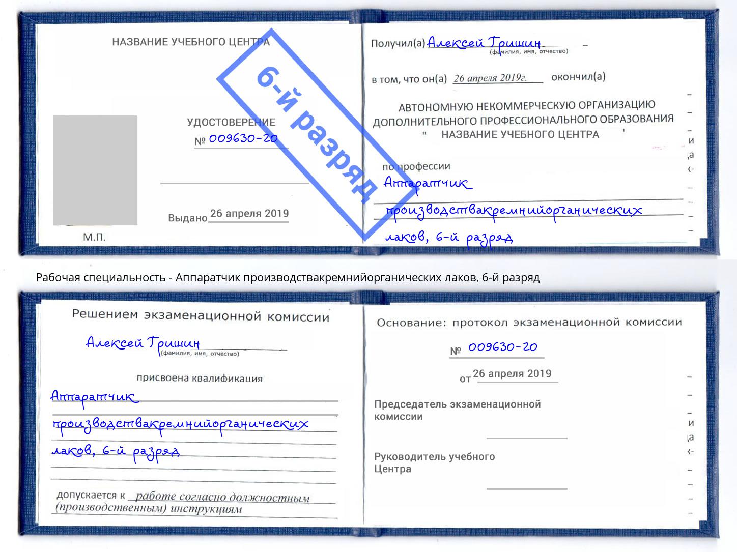 корочка 6-й разряд Аппаратчик производствакремнийорганических лаков Кострома